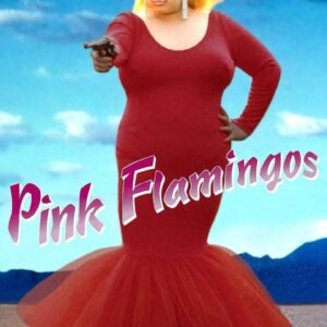 Pink Flamingos 1972