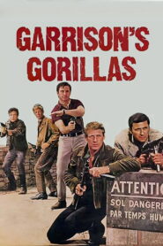Los Comandos de Garrison 1967