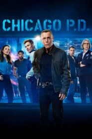 Chicago P.D. 2014