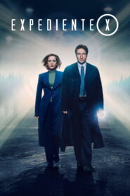 Expediente X 1993