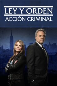 Ley y orden: Acción criminal 2001