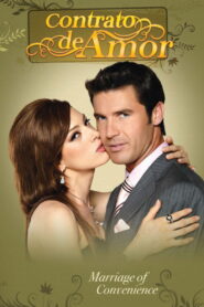 Contrato de amor 2008