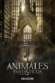 Animales fantásticos – Colección
