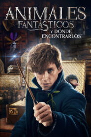 Animales fantásticos y dónde encontrarlos 2016