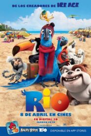 Río 2011