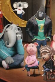 ¡Canta! – Colección